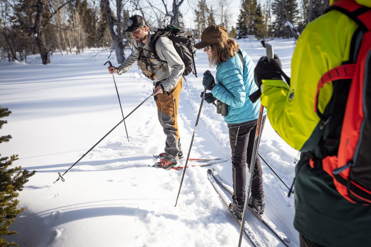 Explore More Winter - Two nordic skiiers on a trail