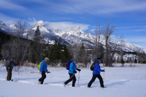 Grans Teton National Park - near Taggart and Cottonwood Creek