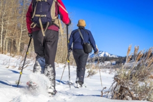 GTNP Ski and snowshoe trip - image of two snowshoers in the national park