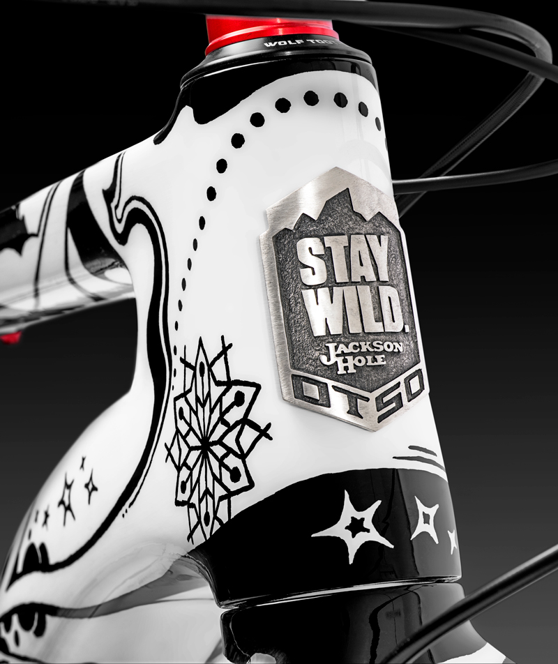 Stay wild fat bike close up front