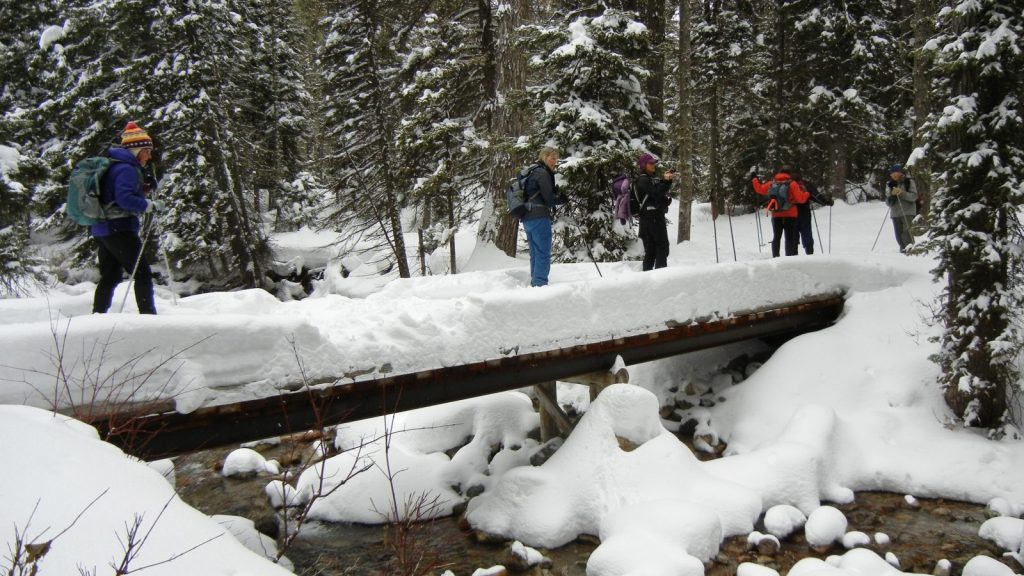 GTNP Ski and snowshoe trip - image of snowshoers on the Granite Canyon trailhead loop