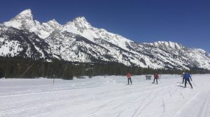 Nordic ski in Grand Teton National Park