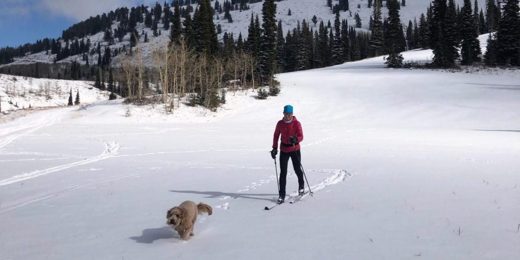 A skier and their dog track a course in Sherman Park