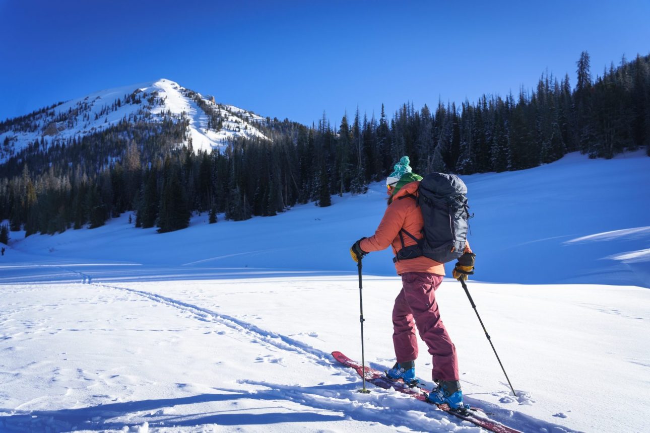 Image of a nordic skiier en route from Togwotee Pass to Brooks Lake