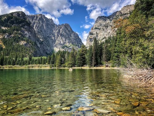 Phelps lake outlet trail