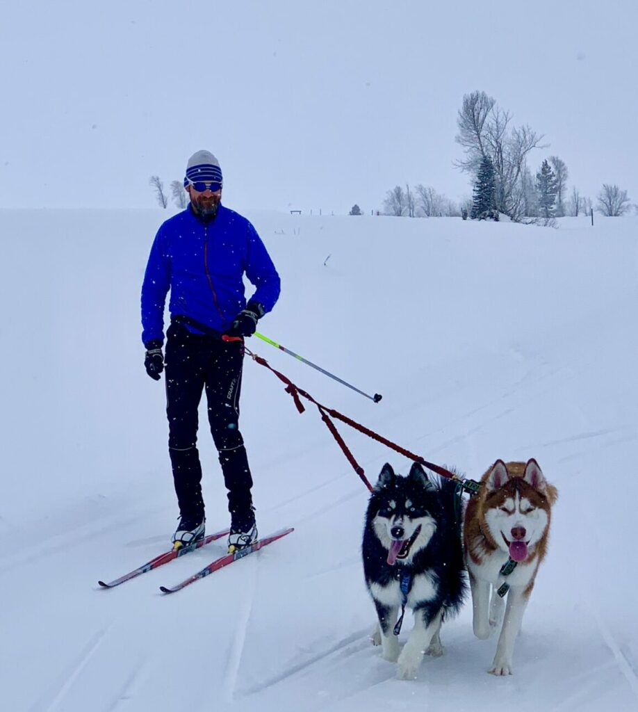 Classic Nordic skiing with dogs