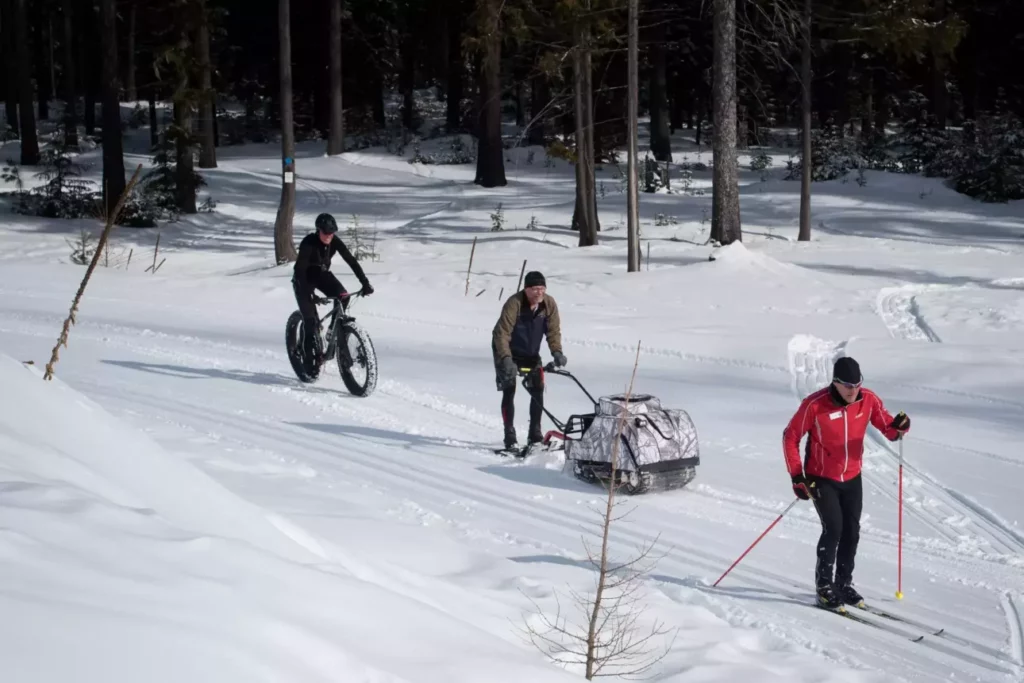 A diverse winter trail with a fat biker, trail groomer, and classic cross country skier