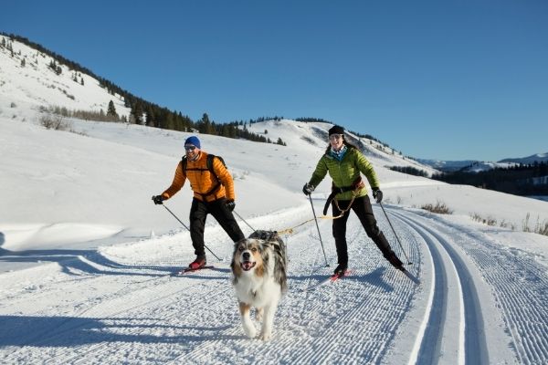 Two people skate ski with their Australian Shepard dog