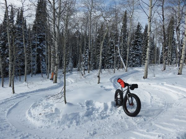 A fat bike sits alone along a winter trail 