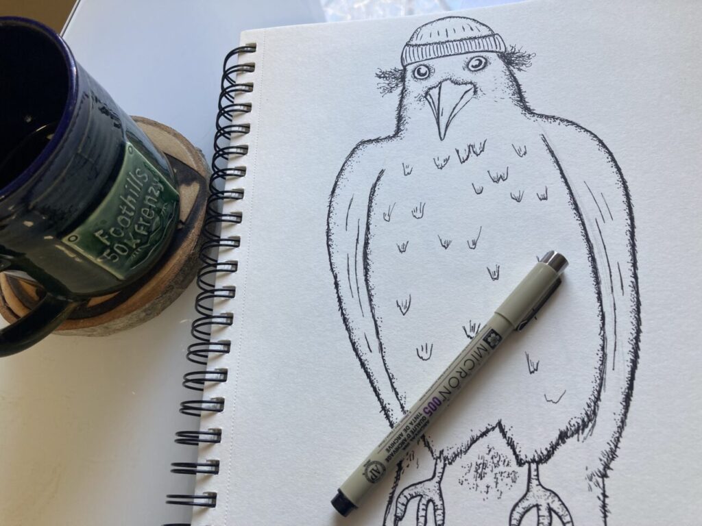 A pen drawing of a crow wearing a beanie for Andy Frasco & the UN. 