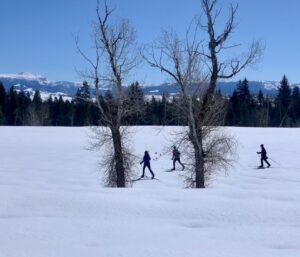 A group of nordic skiers ski on an open field during crust cruising season
