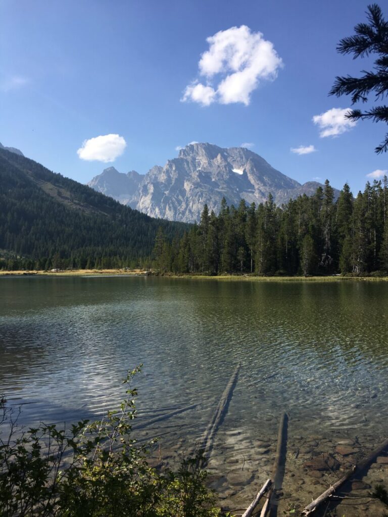 View of Mt. Moran from Sting Lake in GTNP