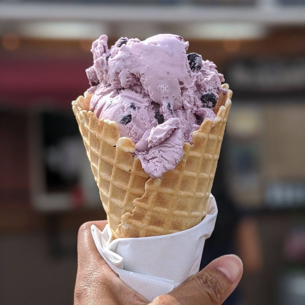 A waffle cone, with a giant scoop of purple ice cream, huckleberry flavor