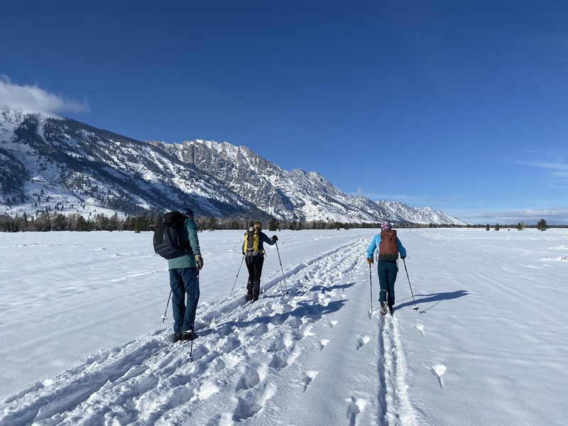 JH Nordic Beginner's Guide to Cross Country Skiing Part 1: Where to Start. Skiiers in Grand Teton National Park