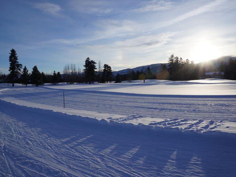 A crisp winter day at Driggs Winter Trails