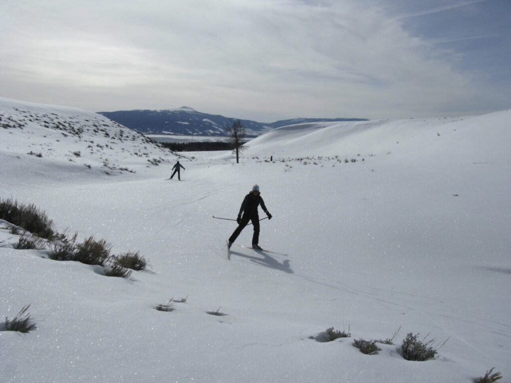 Nordic Skiers travel across sparkling snow on public land, GTNP. 