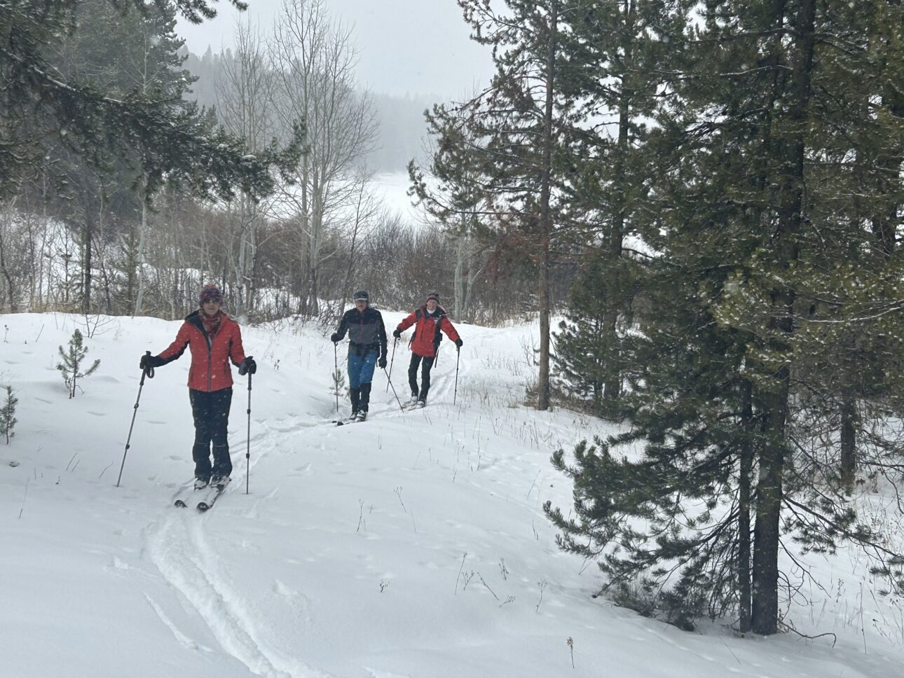 3 friends skiing through the woods at Two Ocean Lake in Grand Teton National Park