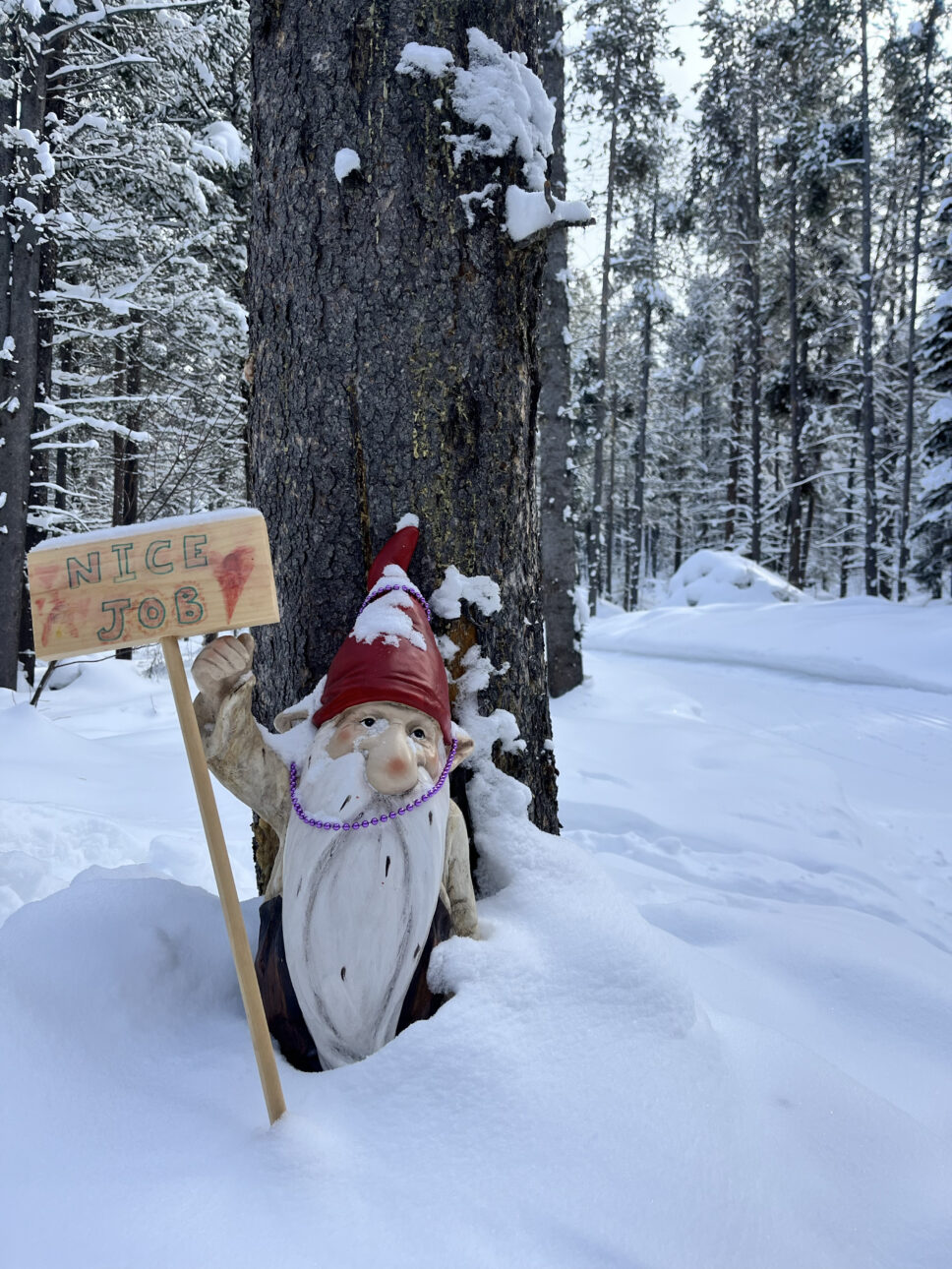 photo of snome at SOuthern Valley Nordic