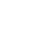 Stay Wild