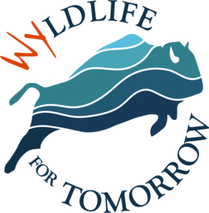 Wyldlife for Tomorrow