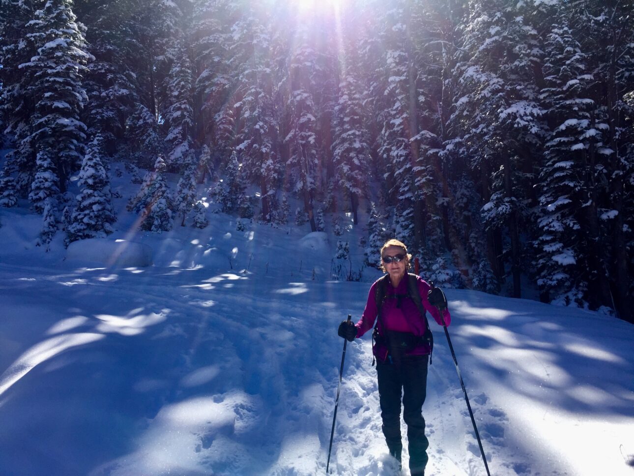 early-season snow and a sunbeam