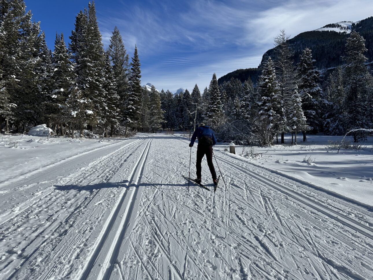 Lori Iverson skate skis her way up Teton Canyon.
