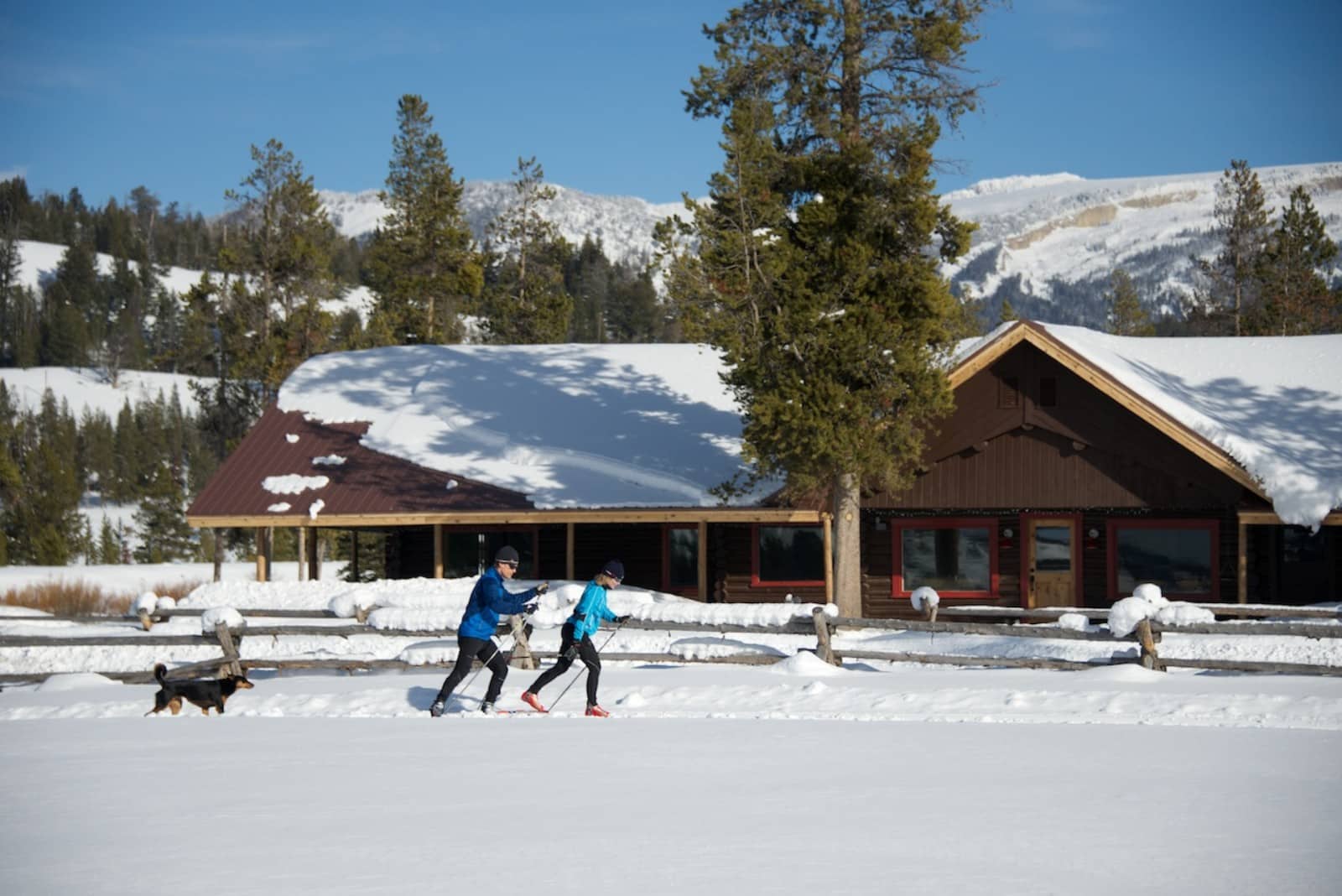 A couple of people classic ski and are followed along by a dog at Turpin Meadow Ranch