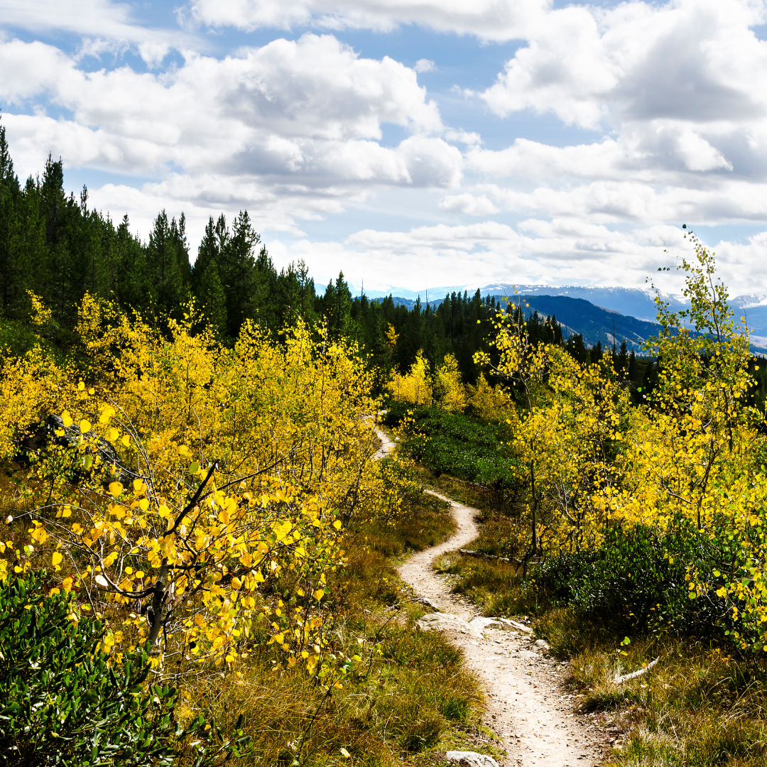 Hiking trail in the fall