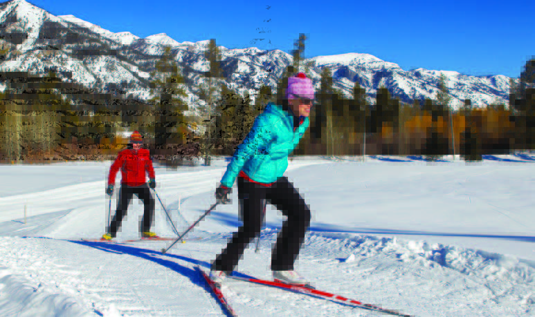 Skinny Skis team skate skiing.