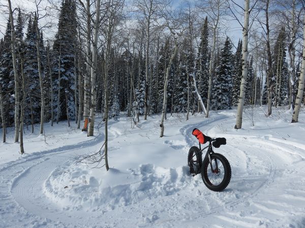 A fat bike sits alone along a winter trail
