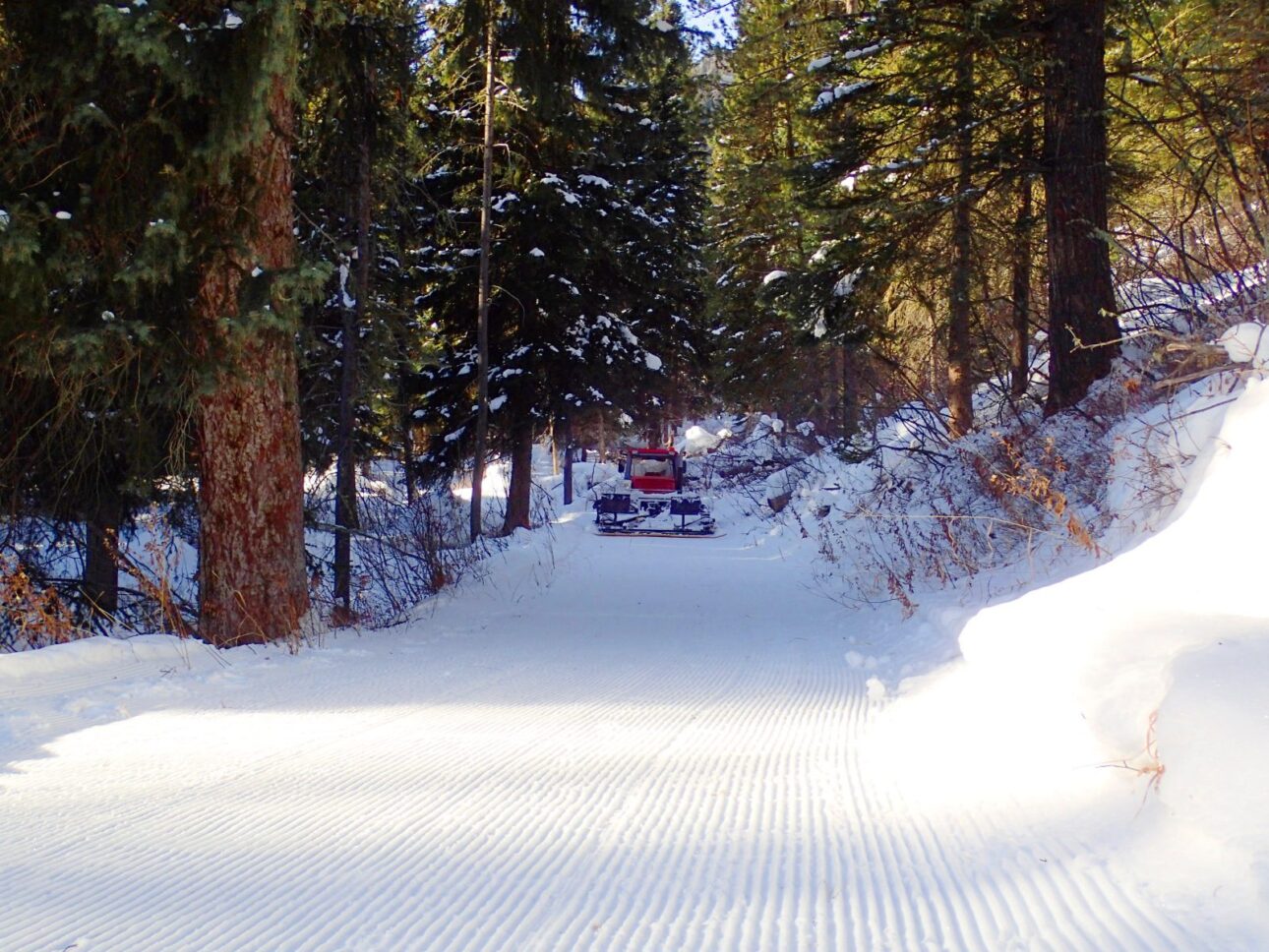 Freshly groomed chord on Old Pass Road 
