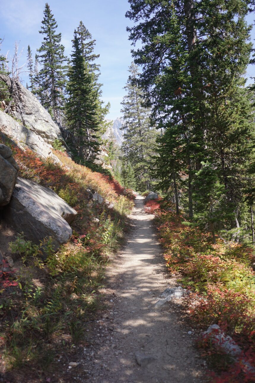 A stretch of trail in Grand Teton National Park at the very beginning of fall.