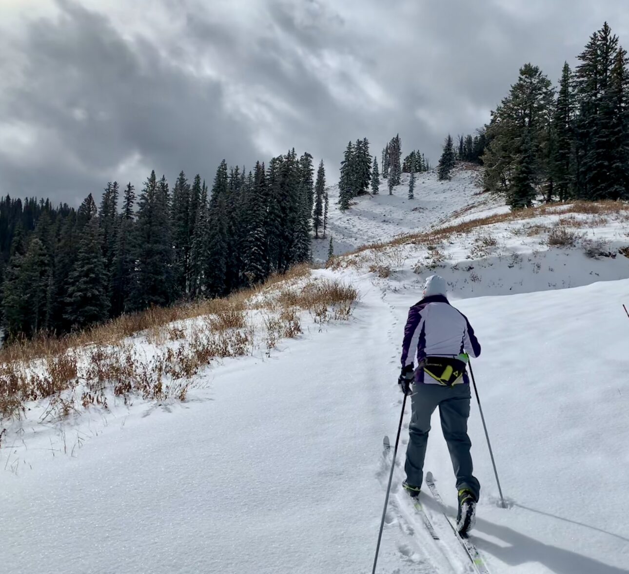 Grass is peaking through the early-season snow