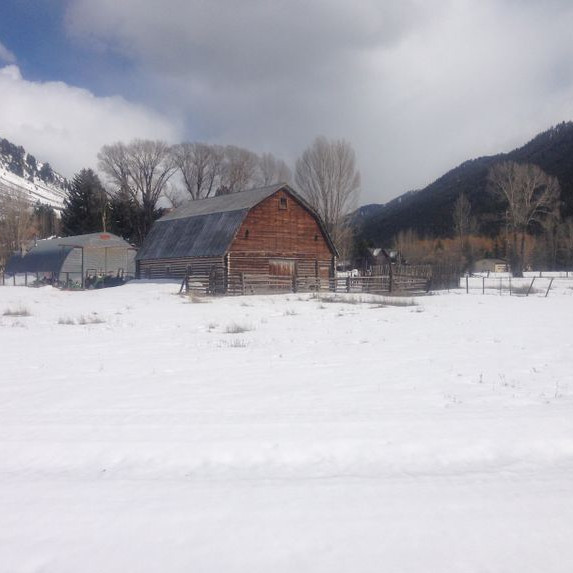 pretty barn in a snowy field