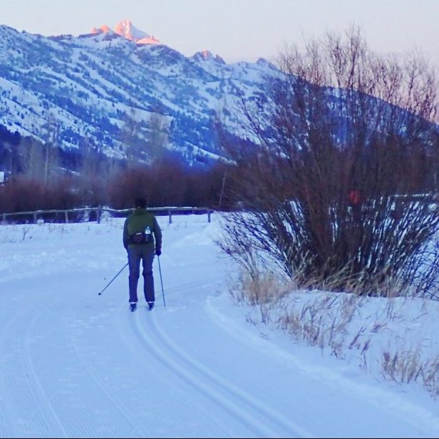 the back of a classic skier in the dusk with a big willow and alpenglow on the Tetons