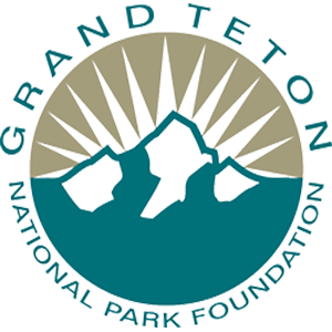 GTNPF_Logo-color-300x300