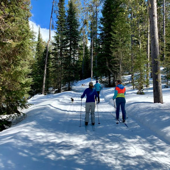 three skiers heading up the Yeti trail on classic skis