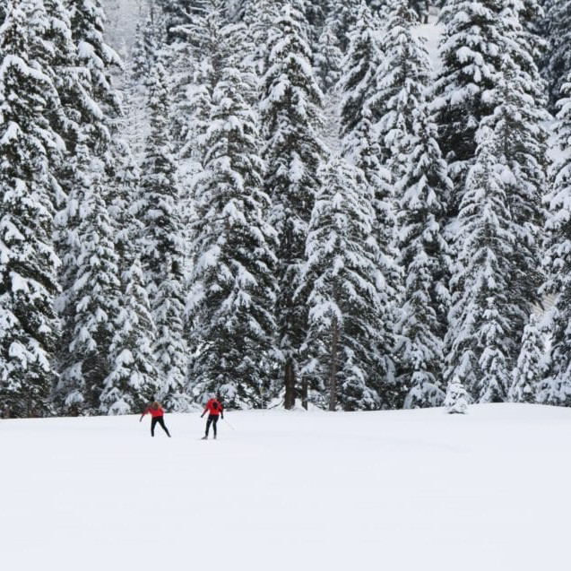 dcb84-teton-pines-12.21 Square