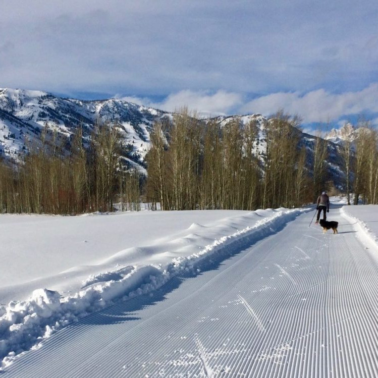 a skier and dog on a track looking up at blue ski and JHMR