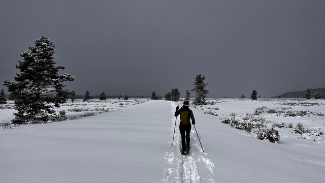 A person skiing on a snowy, groomed trail surrounded by trees under a cloudy sky.
