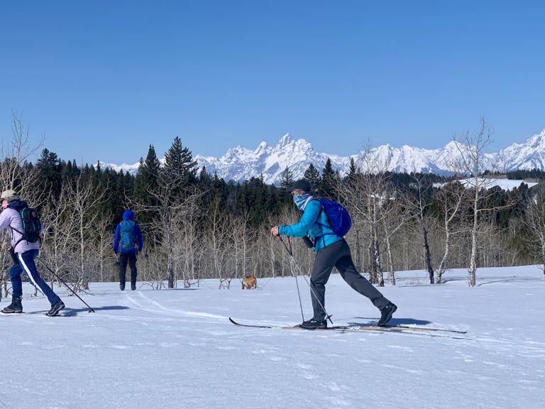 3 xc skiers under blue skies with distant views of Tetons