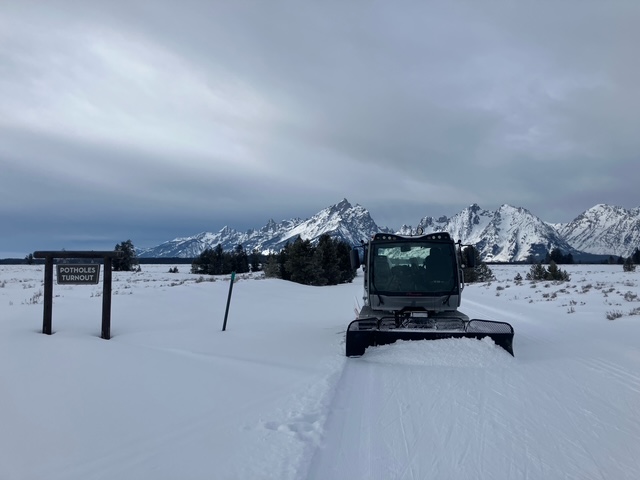 photo of groomer in Park, early morning grey skies