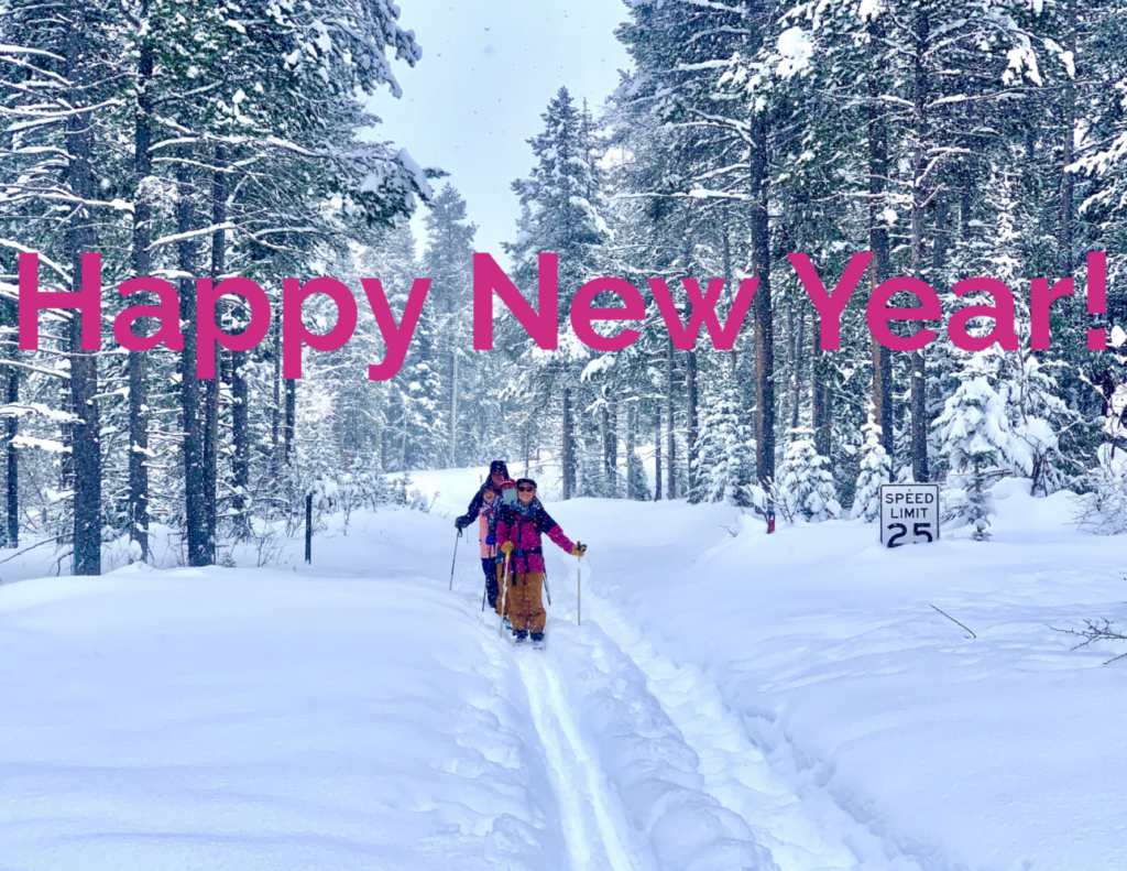 Happy skiers photo with Happy New Year greeting