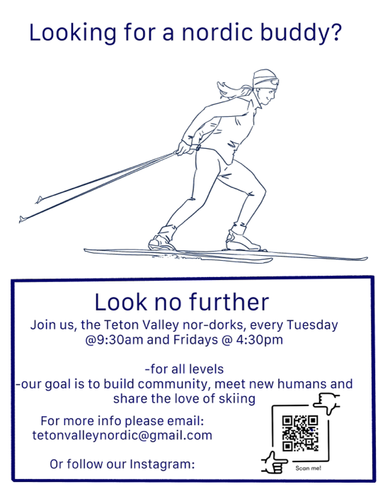 Looking for a Nordic Buddy Flyer