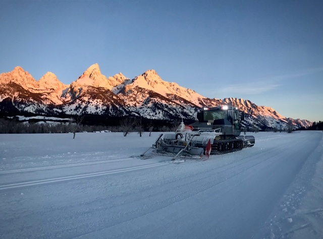 sunrise grooming photo gtnp