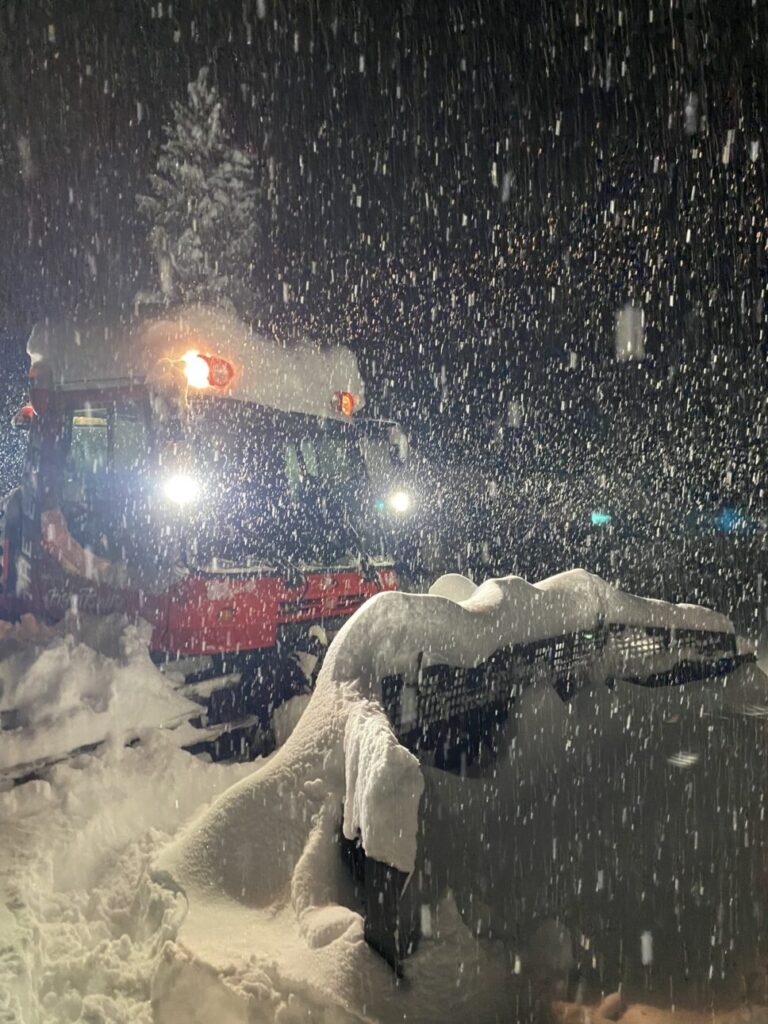 stormy grooming photo