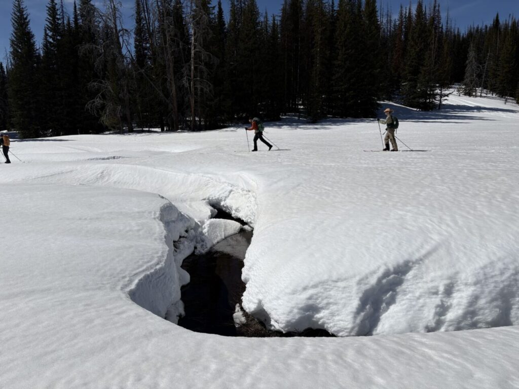 cross-country ski tour near jackson hole, wyoming
